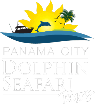 Panama City Dolphin Safari Tours Logo. Horizontal with white letters, sun, water, and dolphin