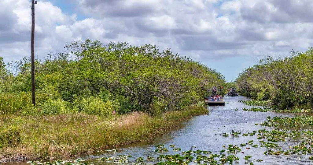 Photo of airboats in the everglades of Florida