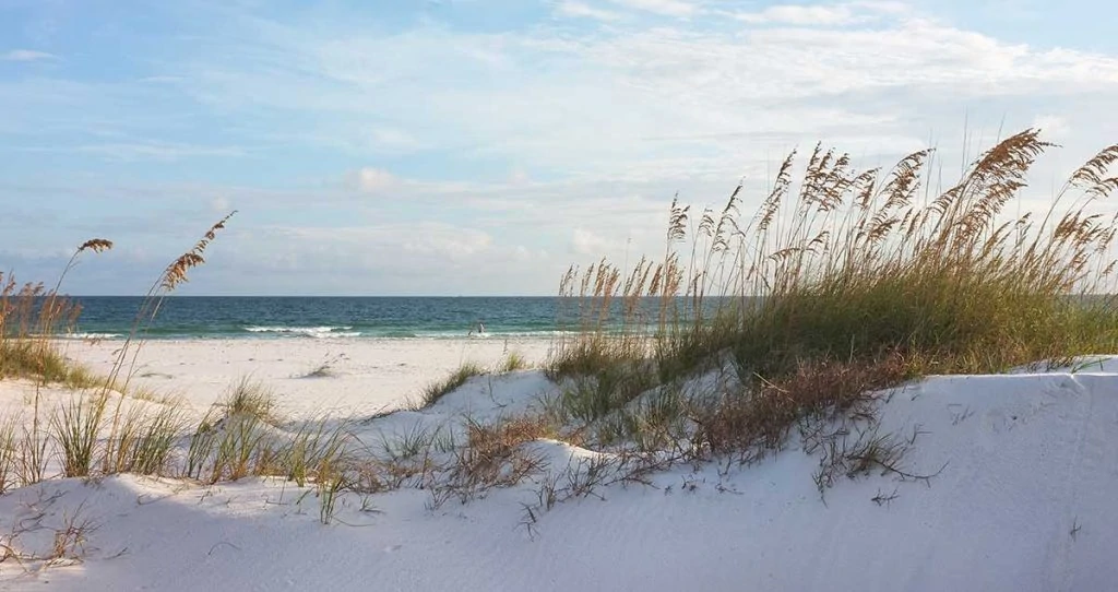 Image of a protected beach preserve