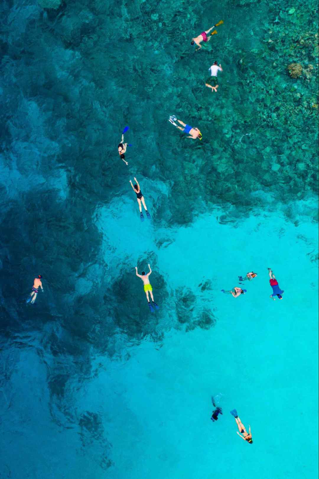 Aerial view of people snorkeling in clear tropical waters