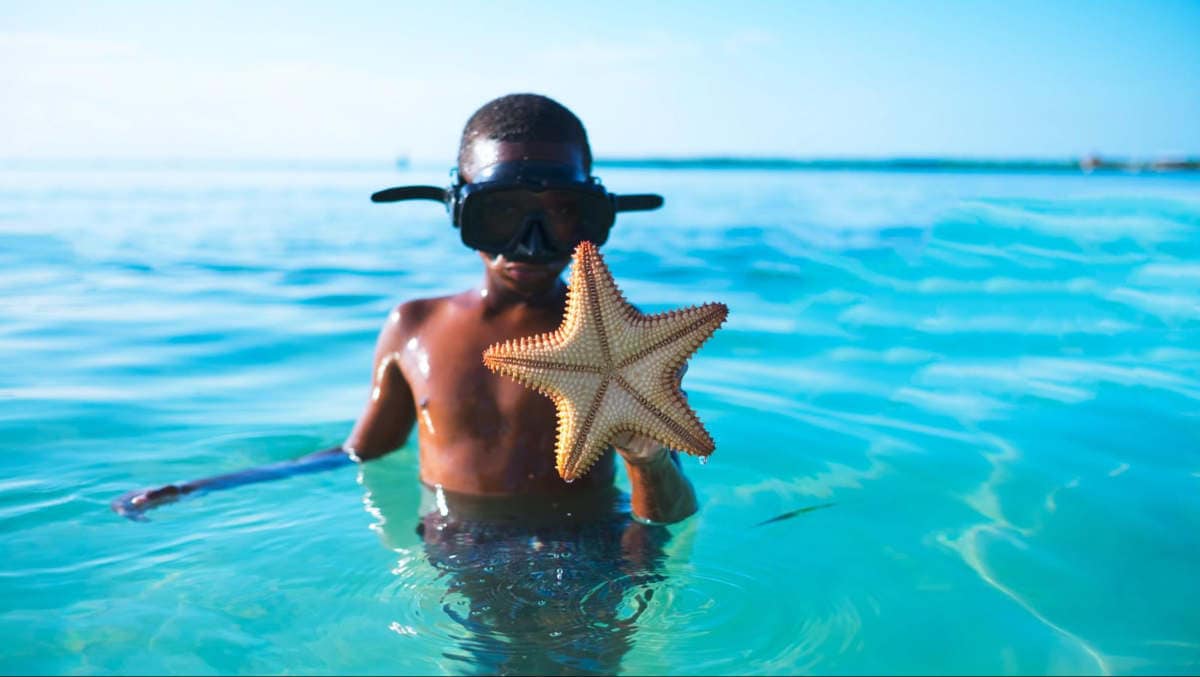 Tween boy with a snorkel mask in shallow water. He's holding up a starfish he found.