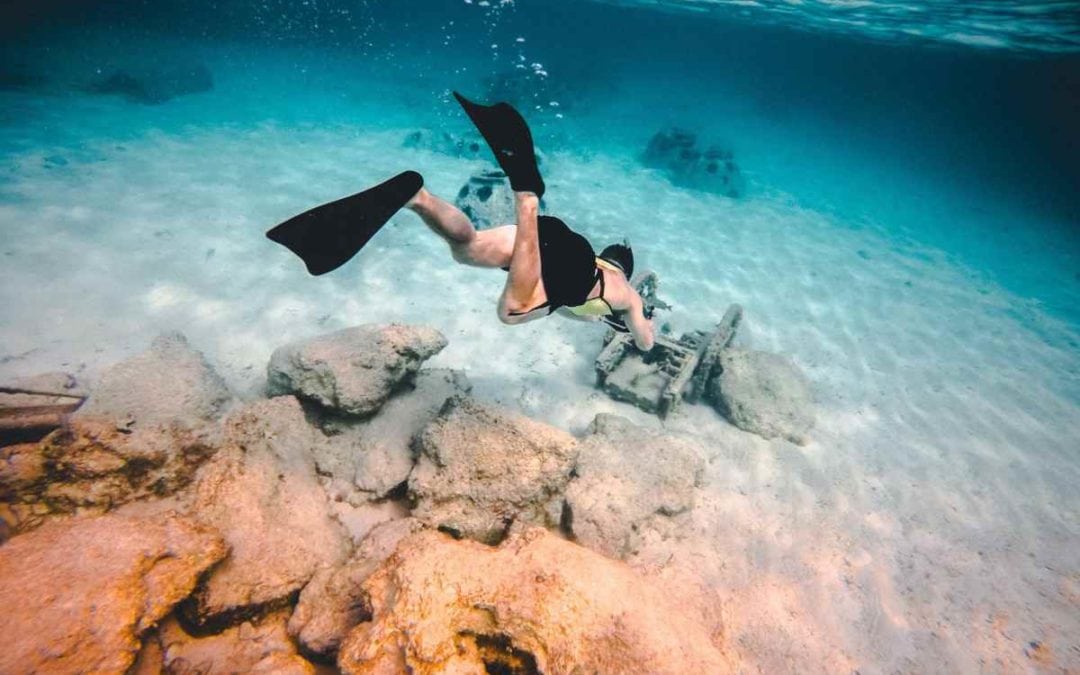 Where to Go Snorkeling Near Shell Island, Florida